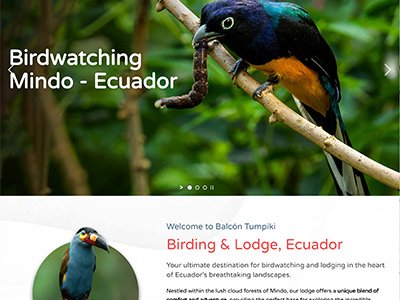 Balcón Tumpiki - Birding & Lodge - Ecuador