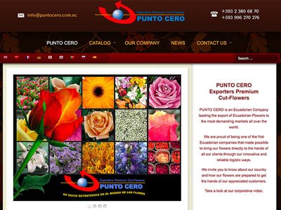 Punto Cero Cut Flowers